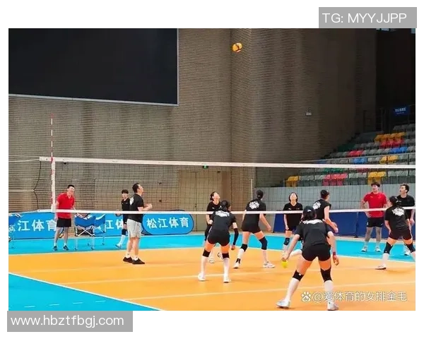 上海排球队的节奏变革引发热议新战术如何改变比赛格局